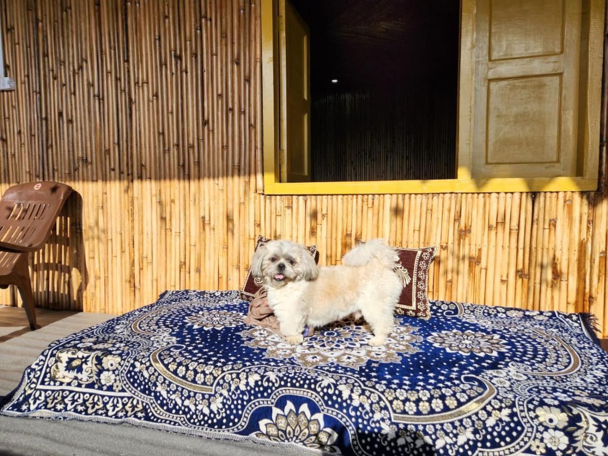 Pahaadi Dhun Homestay Chamba  Exterior foto